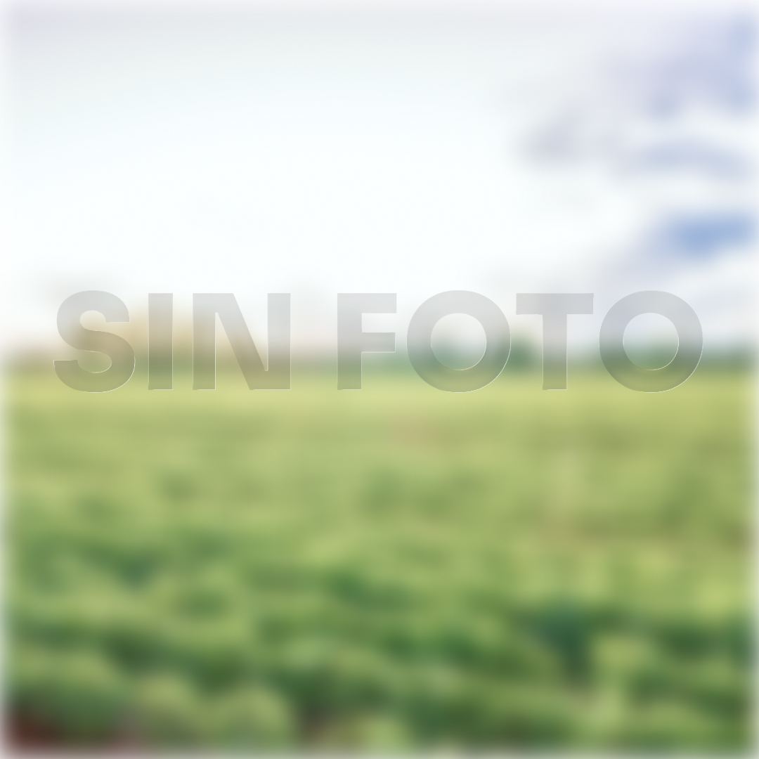 Sembradora Tatu PST3 11x45 DC15 DT H MH — sin foto